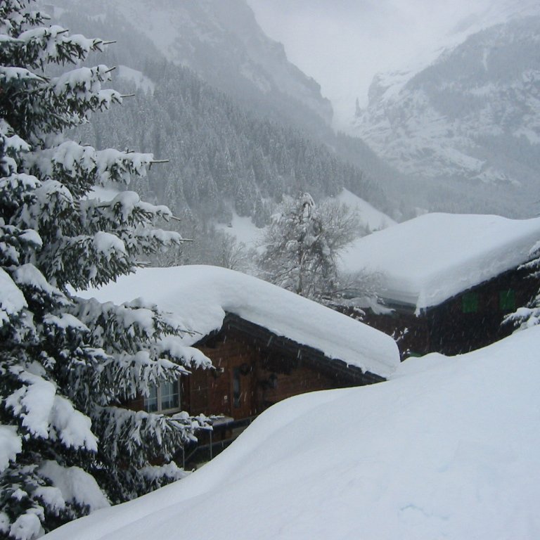 Skiausfahrt mit dem Bus nach Sedrun via Andermatt